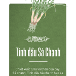 tinh dầu sả chanh