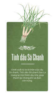 tinh dầu sả huế