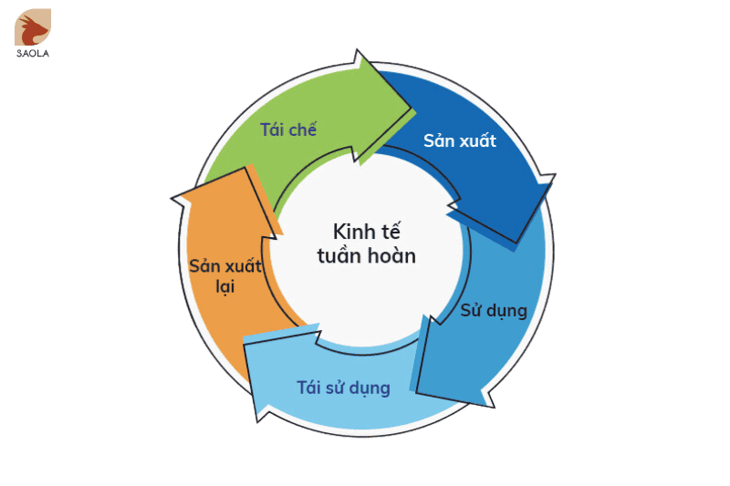 Áp dụng kinh tế tuần hoàn trong nông nghiệp