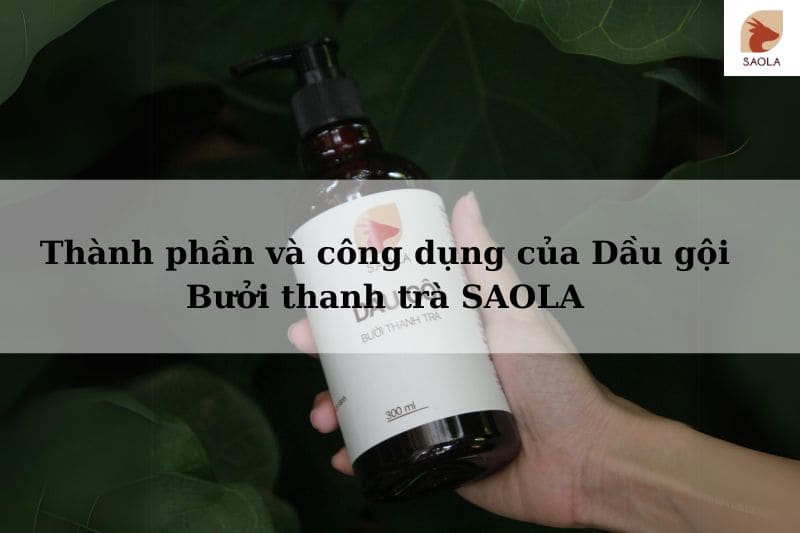 Thành phần và công dụng của Dầu gội Bưởi thanh trà SAOLA