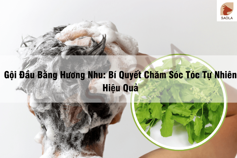 Gội Đầu Bằng Hương Nhu Bí Quyết Chăm Sóc Tóc Tự Nhiên Hiệu Quả