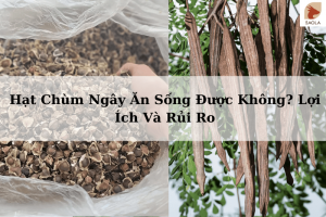 Hạt Chùm Ngây Ăn Sống Được Không Lợi ÍcHạt Chùm Ngây Ăn Sống Được Không Lợi Ích Và Rủi Roh Và Rủi Ro