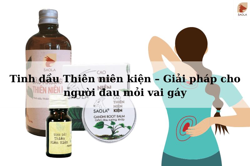 Tinh dầu Thiên niên kiện – Giải pháp cho người đau mỏi vai gáy