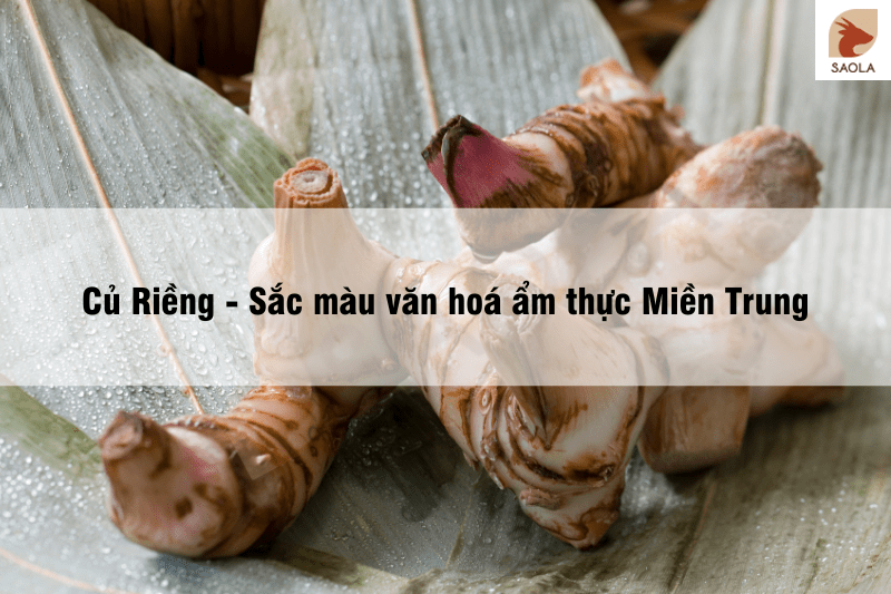 Củ Riềng - Sắc màu văn hoá ẩm thực Miền Trung