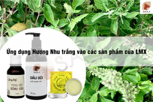 Ứng dụng Hương Nhu trắng vào các sản phẩm của LMX