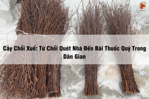 chổi xuể