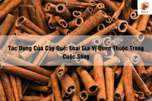 tác dụng của cây quế