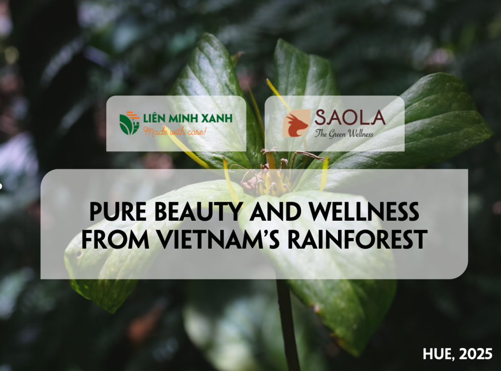 Pure Beauty and Wellness from Vietnam’s Rainforest